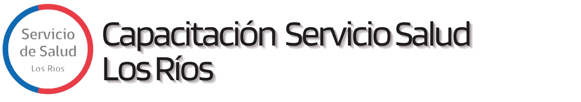 Capacitación Servicio Salud Los Ríos